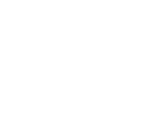 Night-Owl-Text-Logo